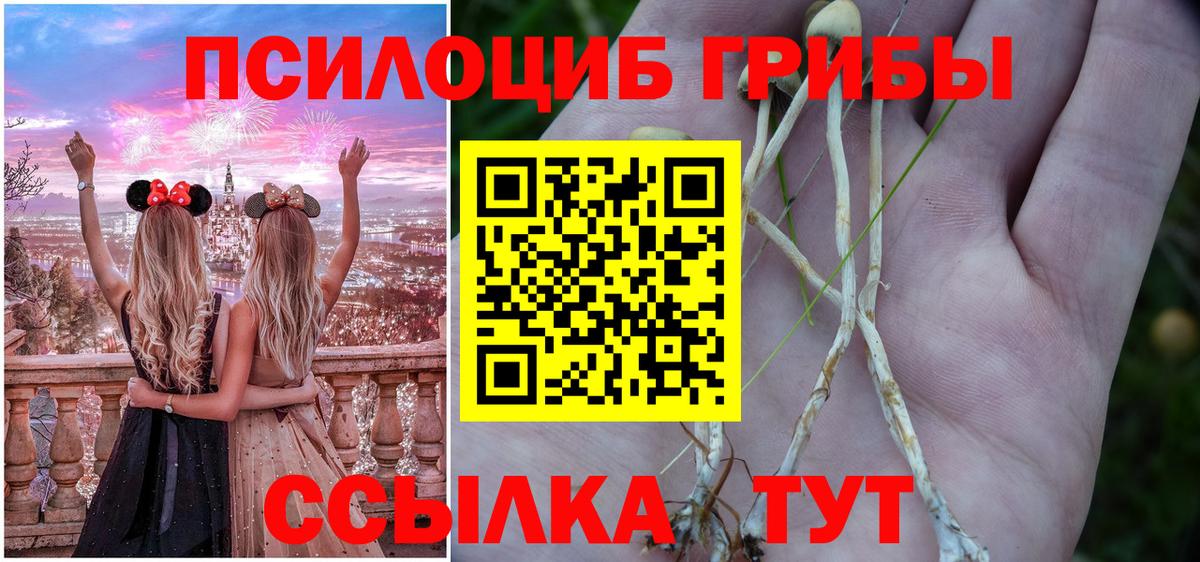 Кызыл  Псилоцибиновые грибы MAGIC MUSHROOMS  Вход с VPN 